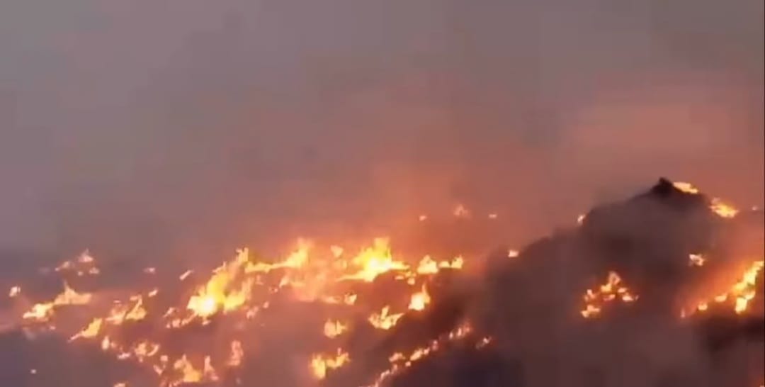 2fde27e5-6fdc-41ef-bf33-7c4398229b6d