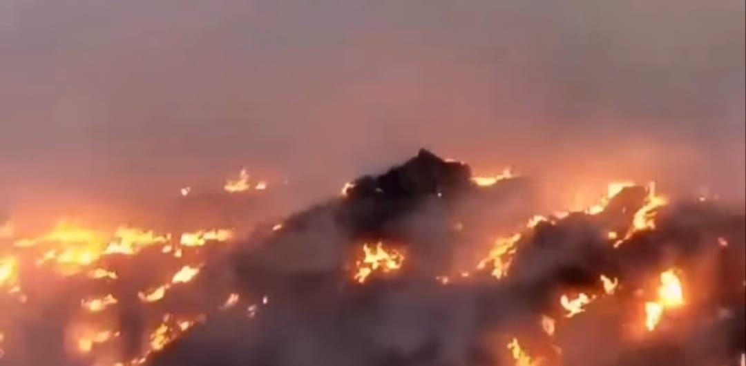 cb327dd5-9ad4-41b3-acc6-b3153cd1fc08