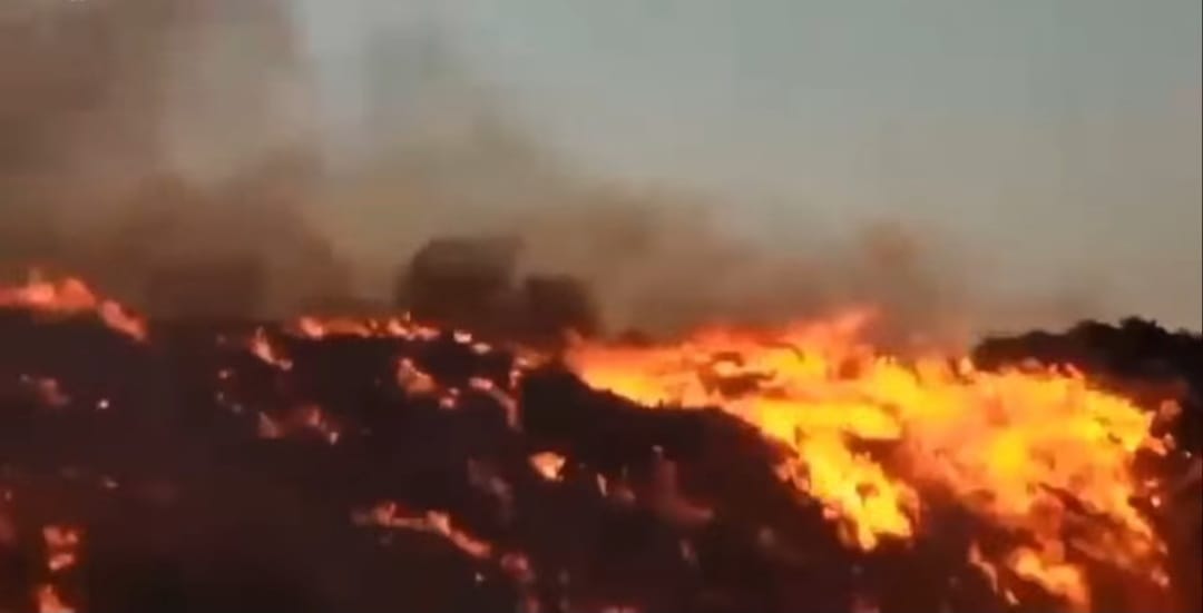 d0c6b8a6-246a-4ea2-b97d-5519f1824cf7