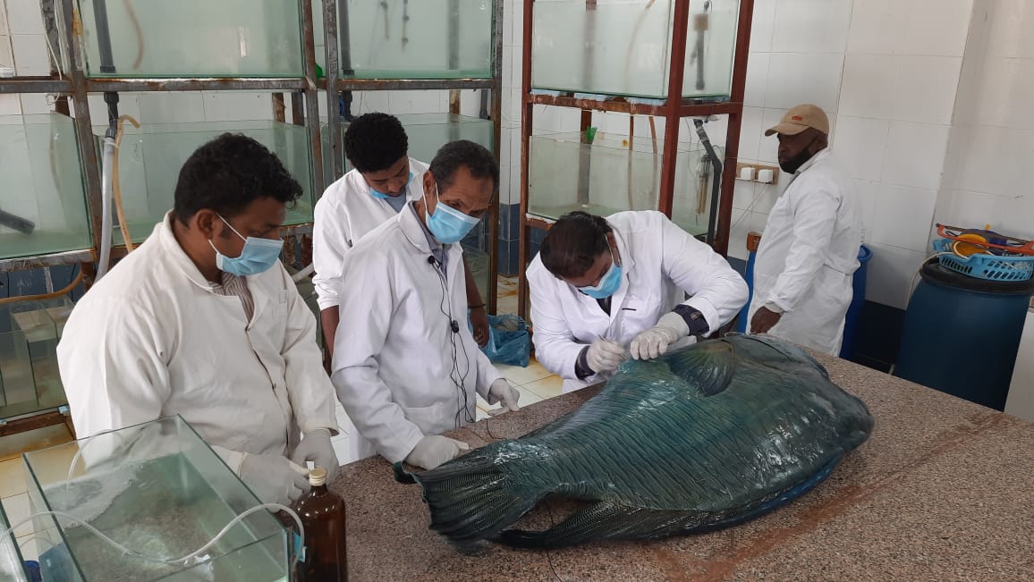 070b9497-702d-4366-8175-8f690acd8754