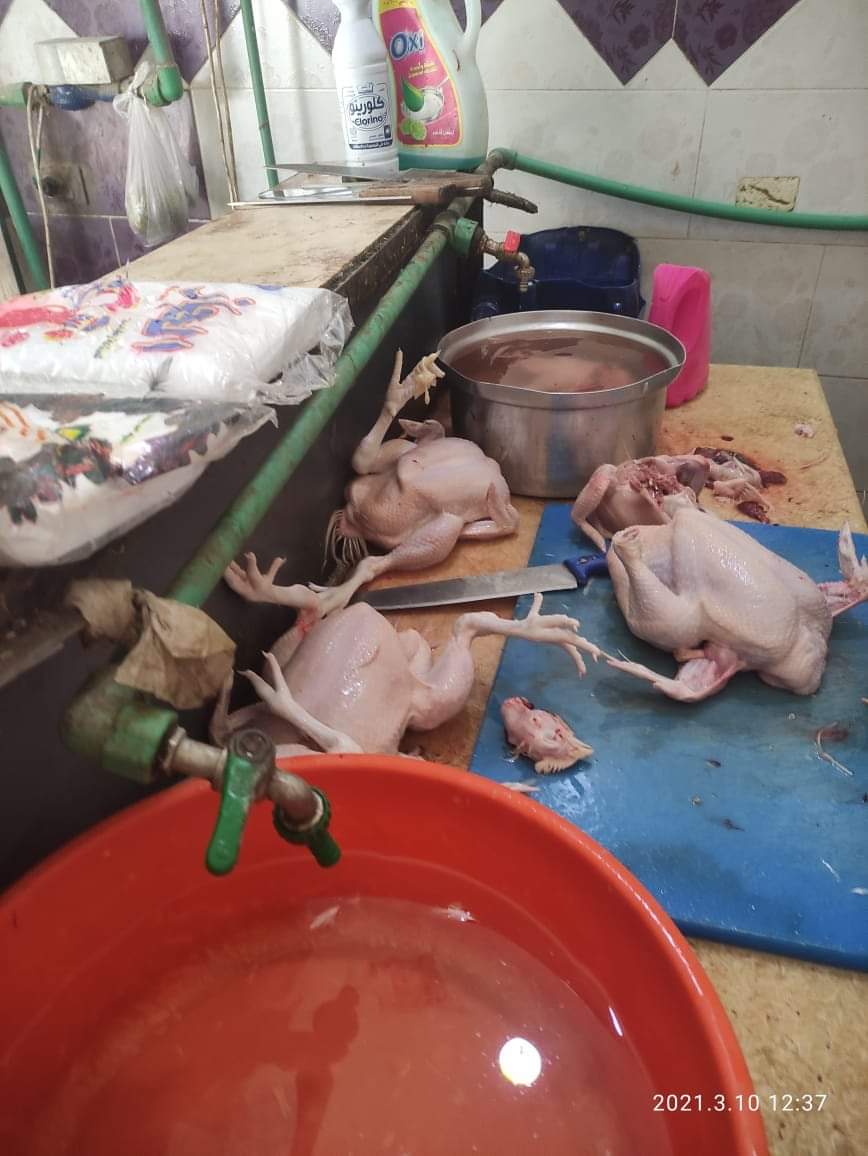 2b51e4f0-0fa5-4d61-a4bd-5c5387cda5a4