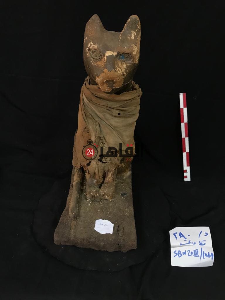 ad3b9ca2-8ae2-4412-8cbd-e84fe7fb8b6d