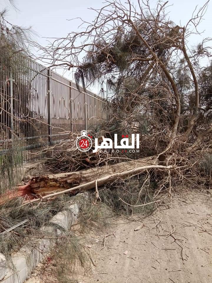 FB_IMG_1616492772712