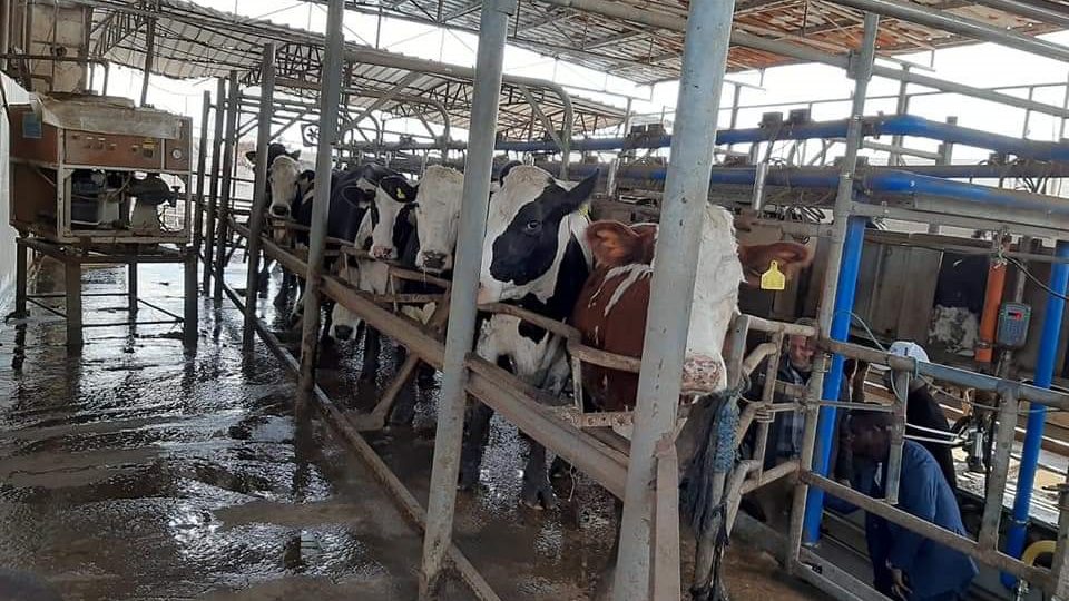 ما هي مدة سداد قرض البتلو؟