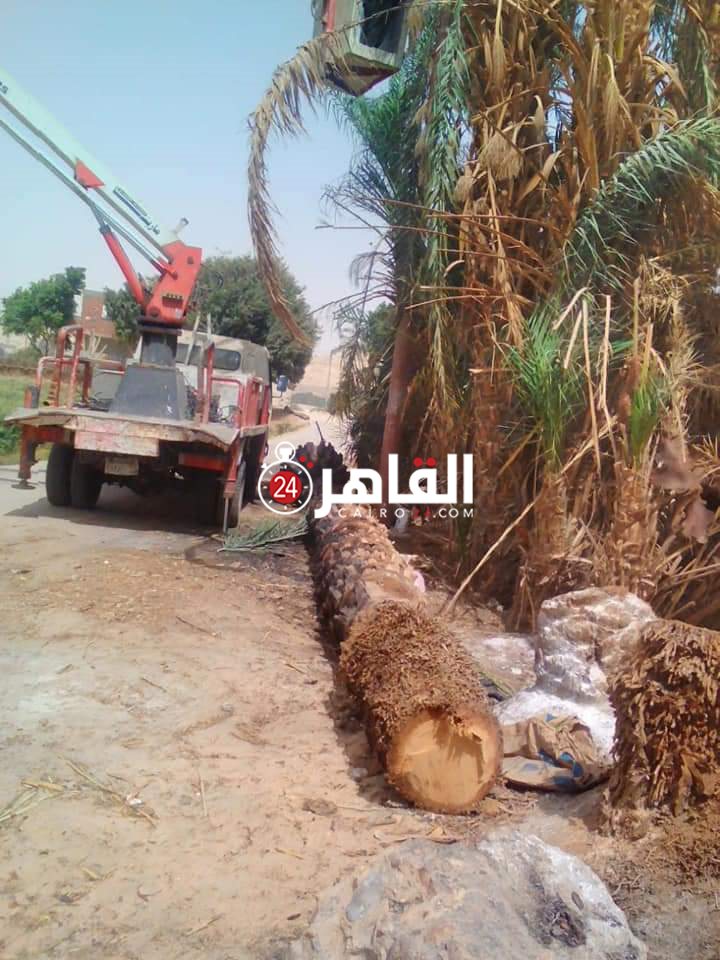 FB_IMG_1616599367433