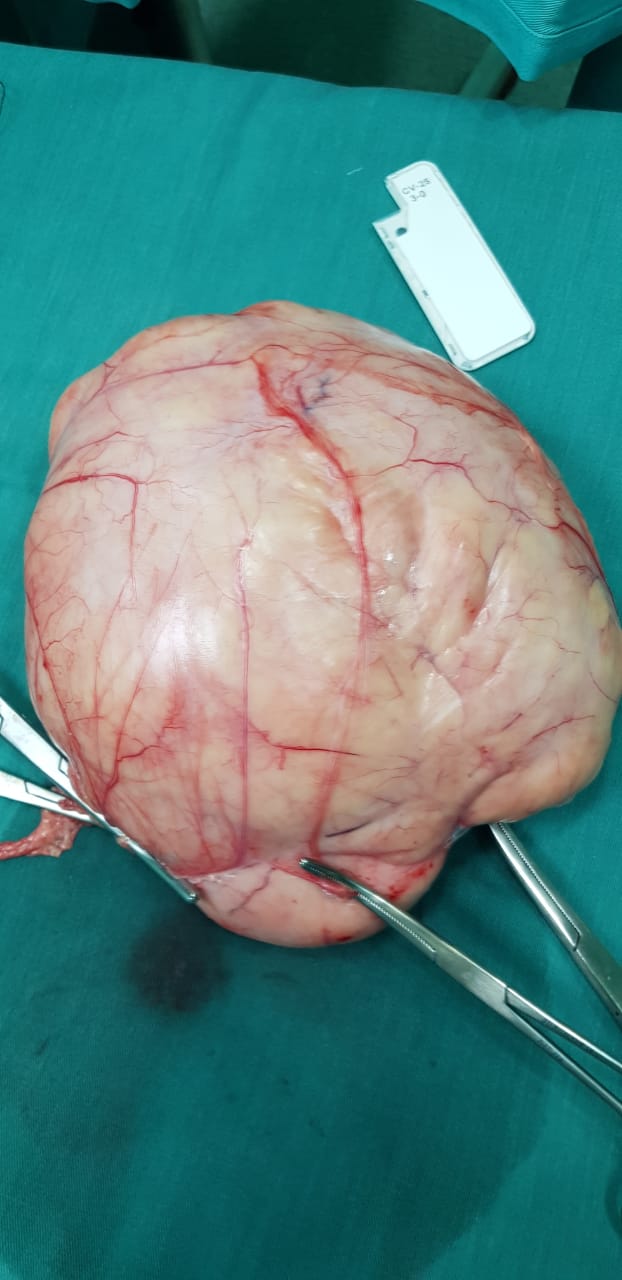 4563a24d-cdd1-41b4-8901-e976ae476ac8