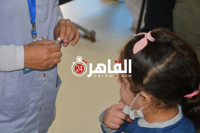 DSC_0179_copy_800x534