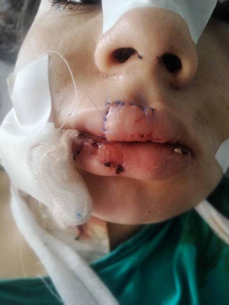 fe9971b0-e98b-463a-81a7-0ec6a8fd8a8f