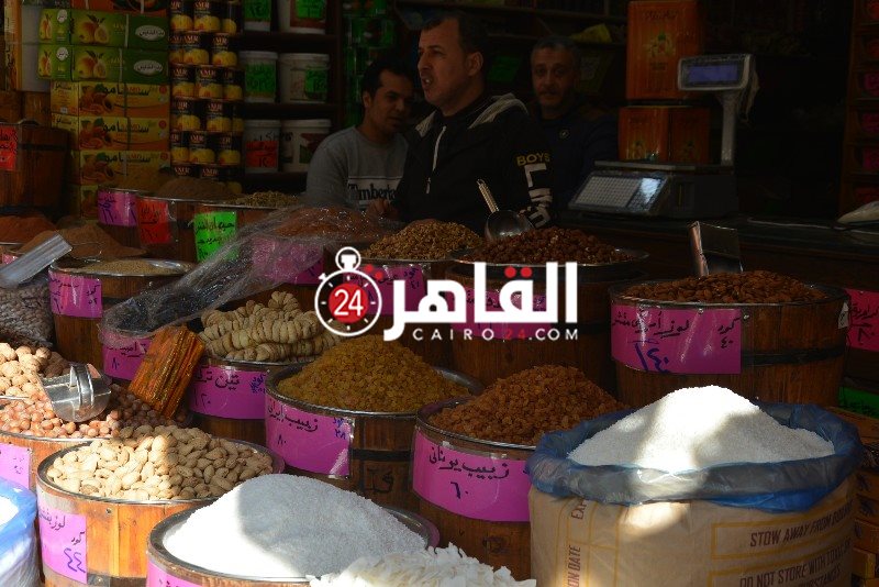 DSC_0146_copy_800x534_1