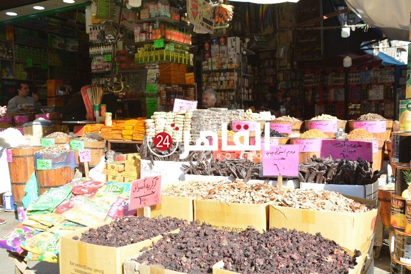 DSC_0152_copy_800x534_1