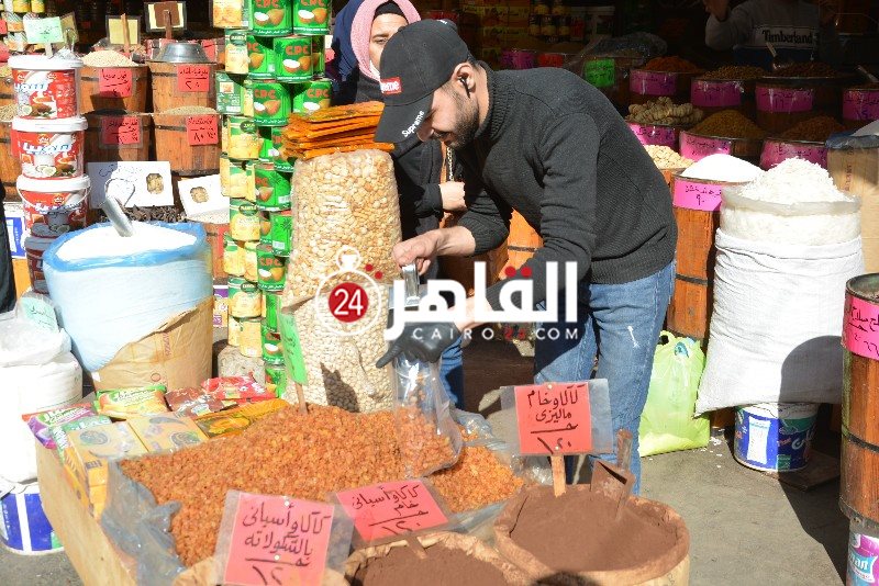 DSC_0157_copy_800x534