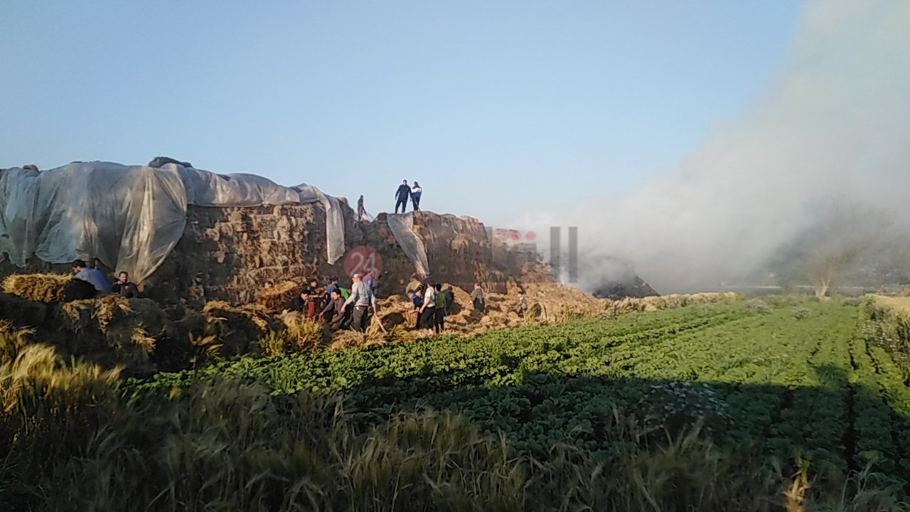 IMG_20210330_171802_1