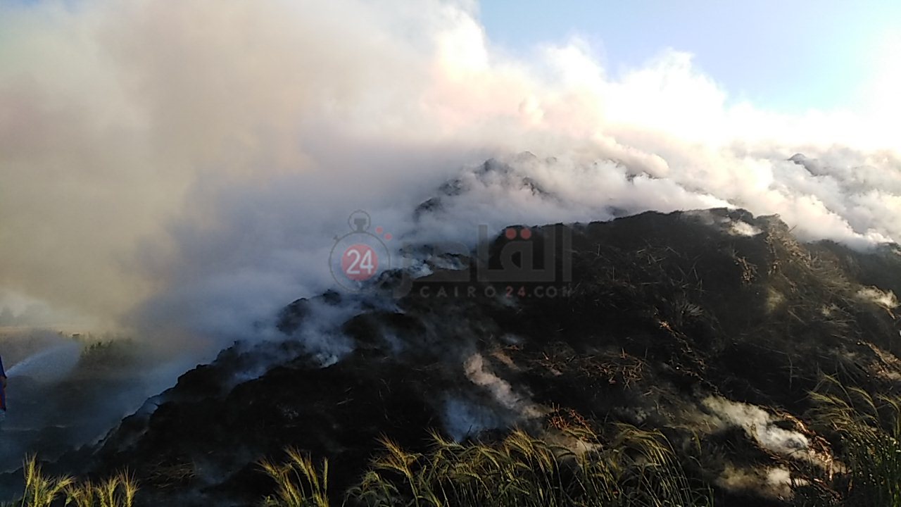 IMG_20210330_172018_1