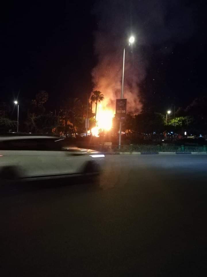 FB_IMG_1617226343211