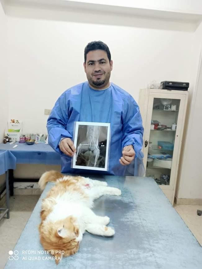 699DEDBF-568D-4058-B296-0A550A7541AE