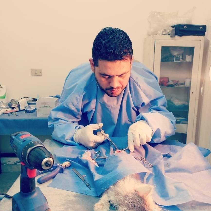 974B671E-4BC3-4128-8EBB-AAAC5ED5E863