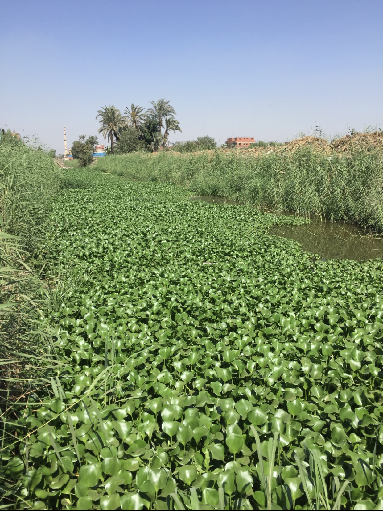 87776592-BD23-4B77-B501-6E468C401350