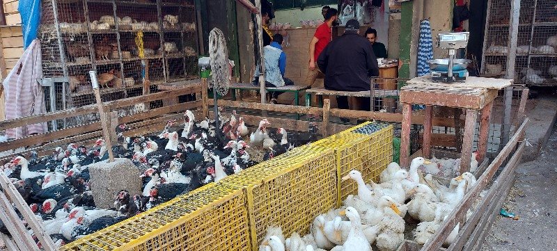 ٢٠٢١٠٤٠٦_١٥٥٢١١_copy_800x361