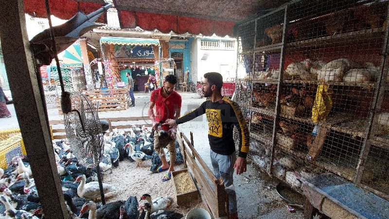 ٢٠٢١٠٤٠٦_١٥٥٤٢٧_copy_800x450