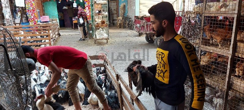 ٢٠٢١٠٤٠٦_١٥٥٤٤٤_copy_800x361