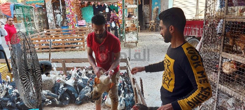 ٢٠٢١٠٤٠٦_١٥٥٤٤٨_copy_800x361