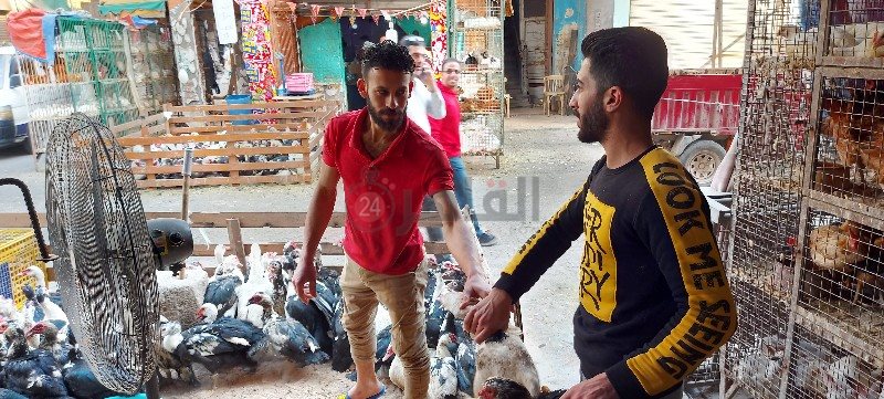 ٢٠٢١٠٤٠٦_١٥٥٤٥١_copy_800x361