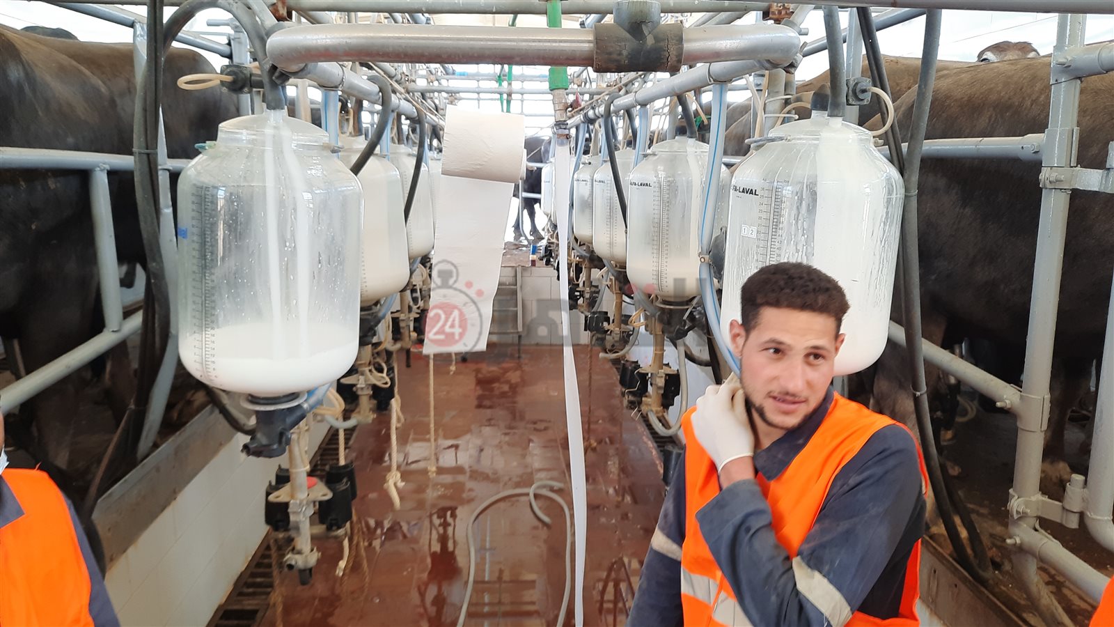 ٢٠٢١٠٤١٠_١٤٥١٠٩