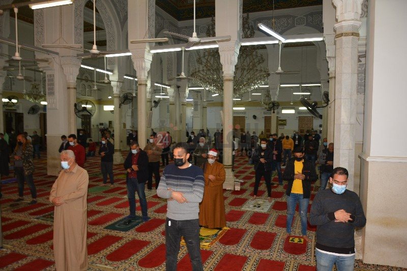 DSC_0229_copy_800x534_2