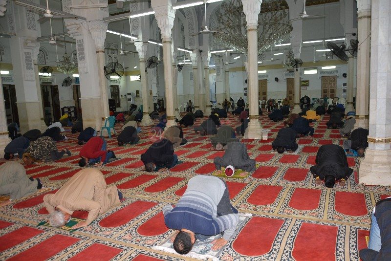 DSC_0243_copy_800x534_2