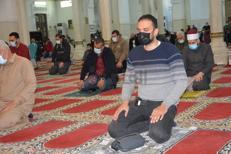 DSC_0244_copy_800x534_2