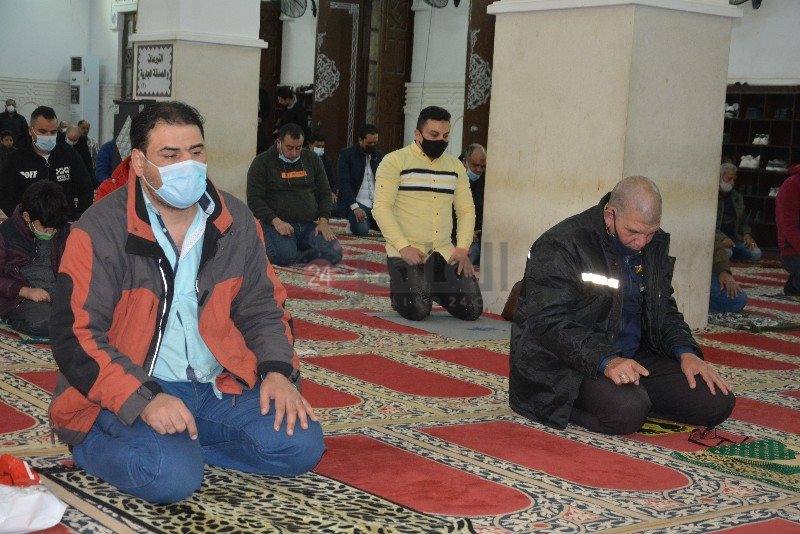 DSC_0246_copy_800x534_2