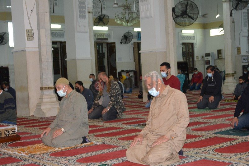 DSC_0247_copy_800x534_2