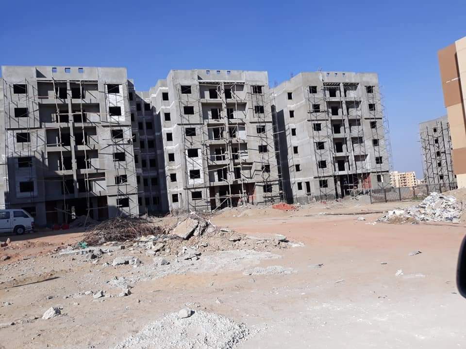 أشجار سيتي11