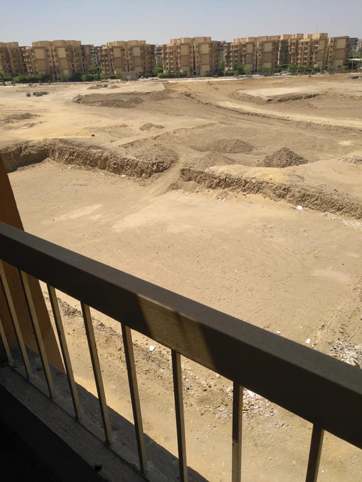 أشجار سيتي5