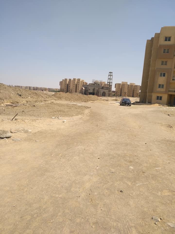 أشجار سيتي4