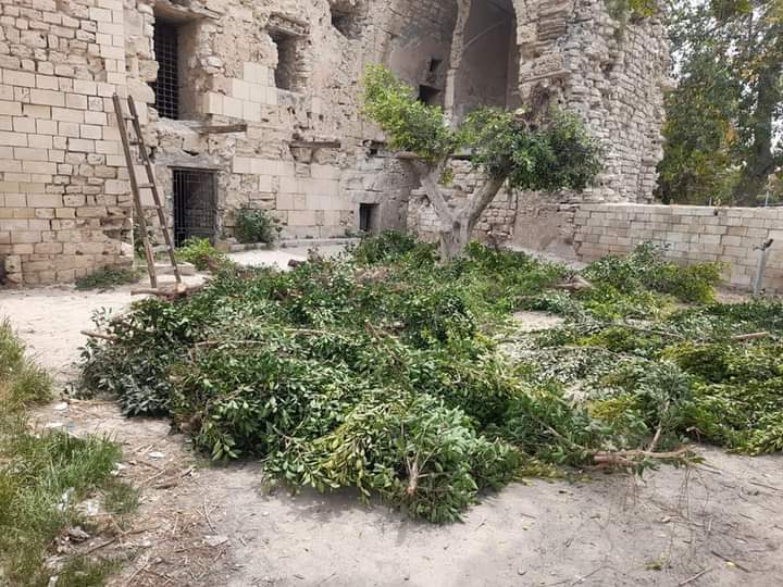 FB_IMG_1618859940167