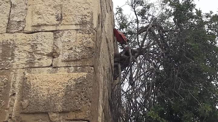 FB_IMG_1618859932794