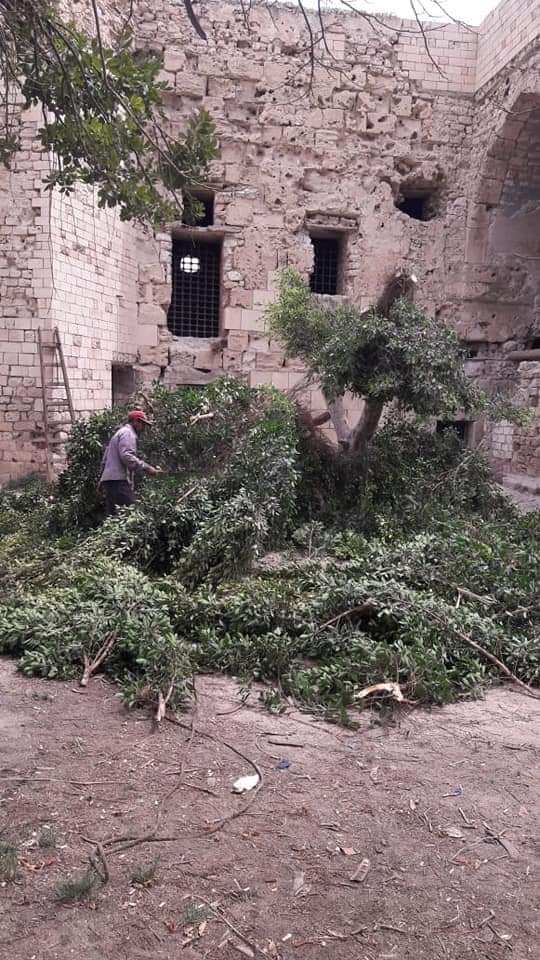 FB_IMG_1618859923867