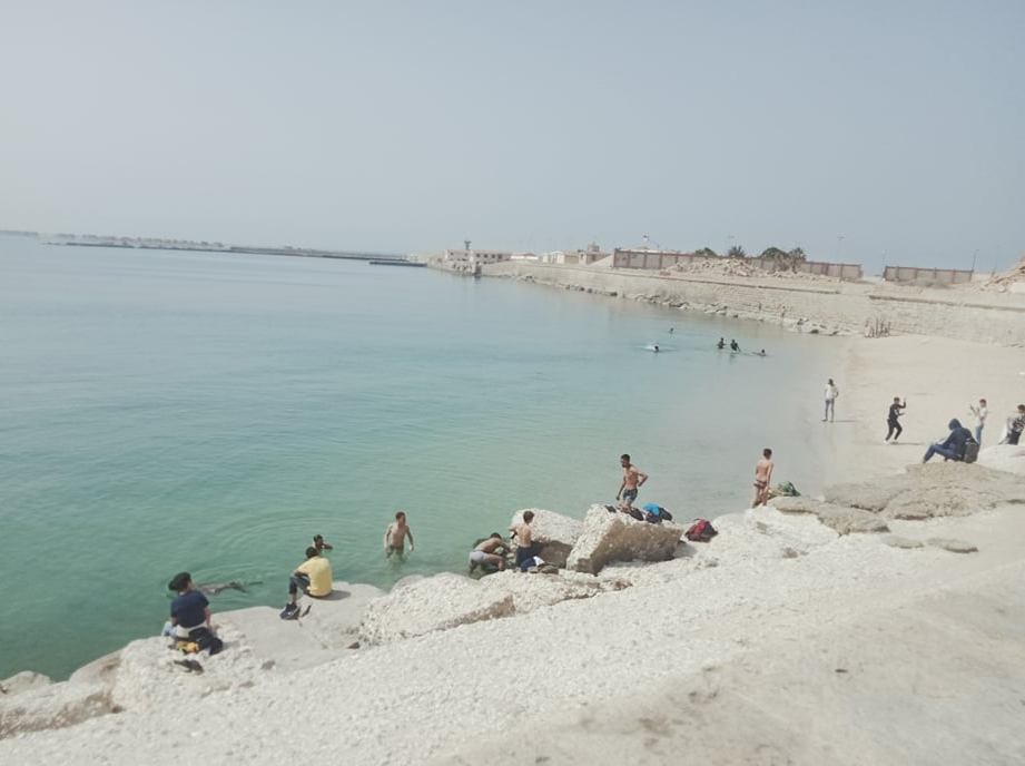 175156201_281966486737954_2153759229070511862_n