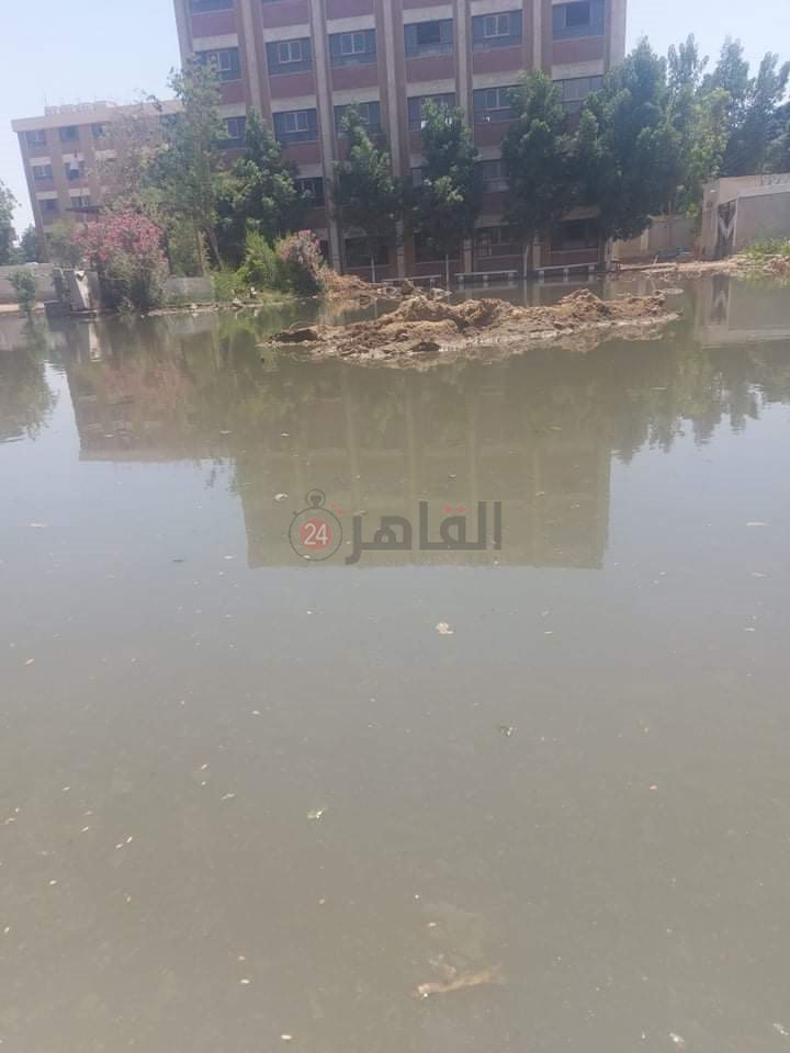 received_745261342733969