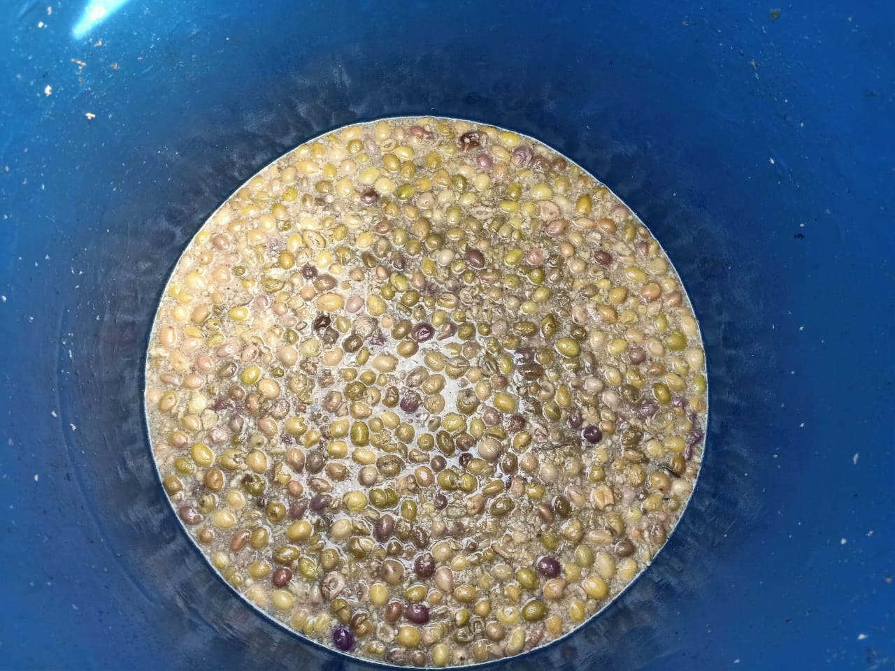 أغذية فاسدة 01