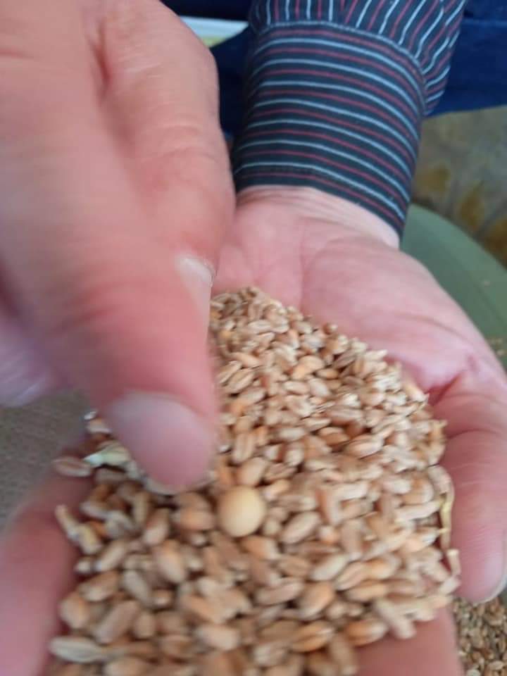 FB_IMG_1619623489543