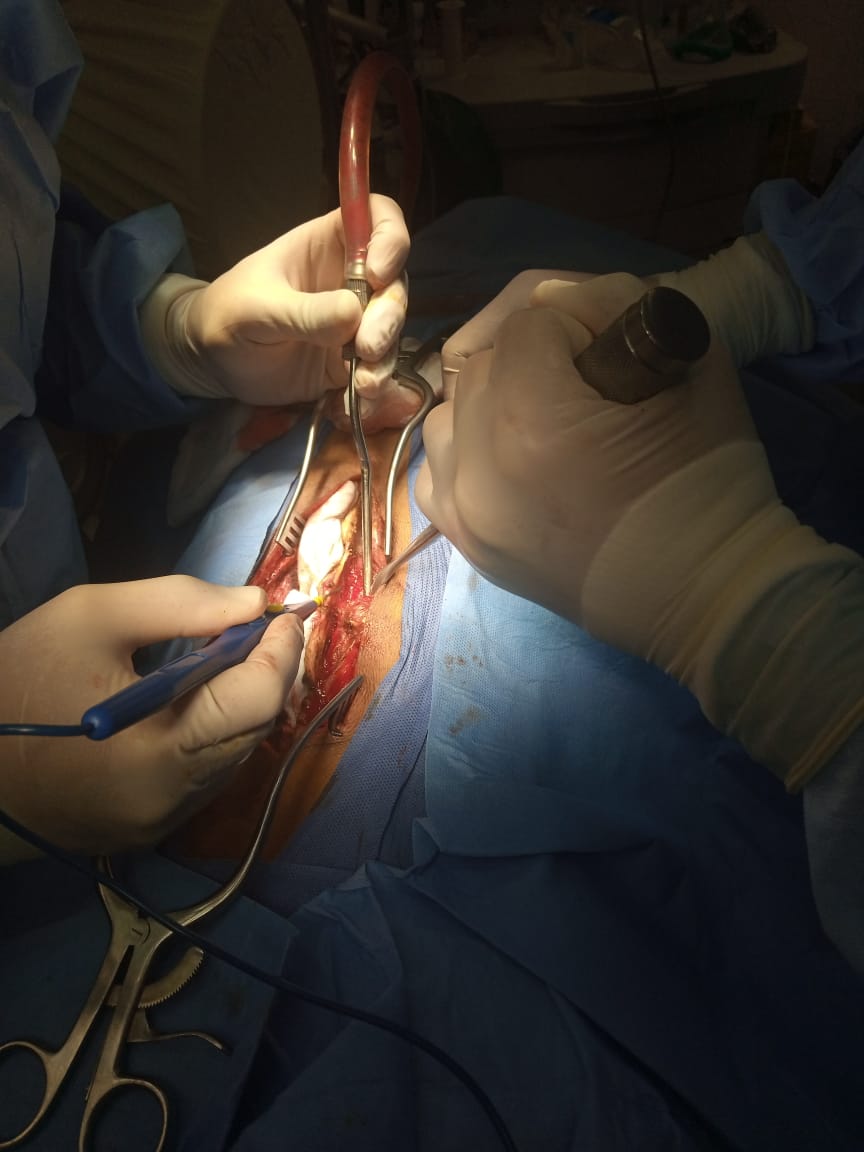 d58f1ecb-14d6-48ff-b2be-9258e36274cf