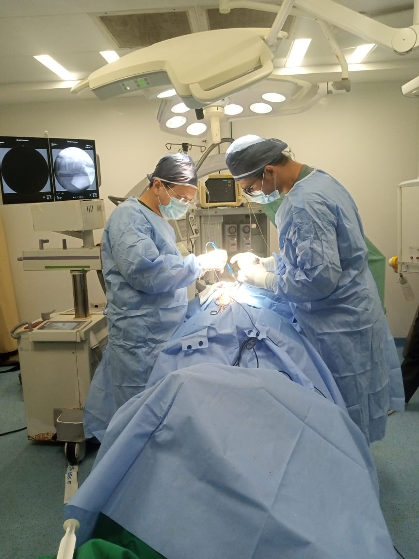 459ed40e-7ffb-4891-a36c-bfa3d9d95fdd