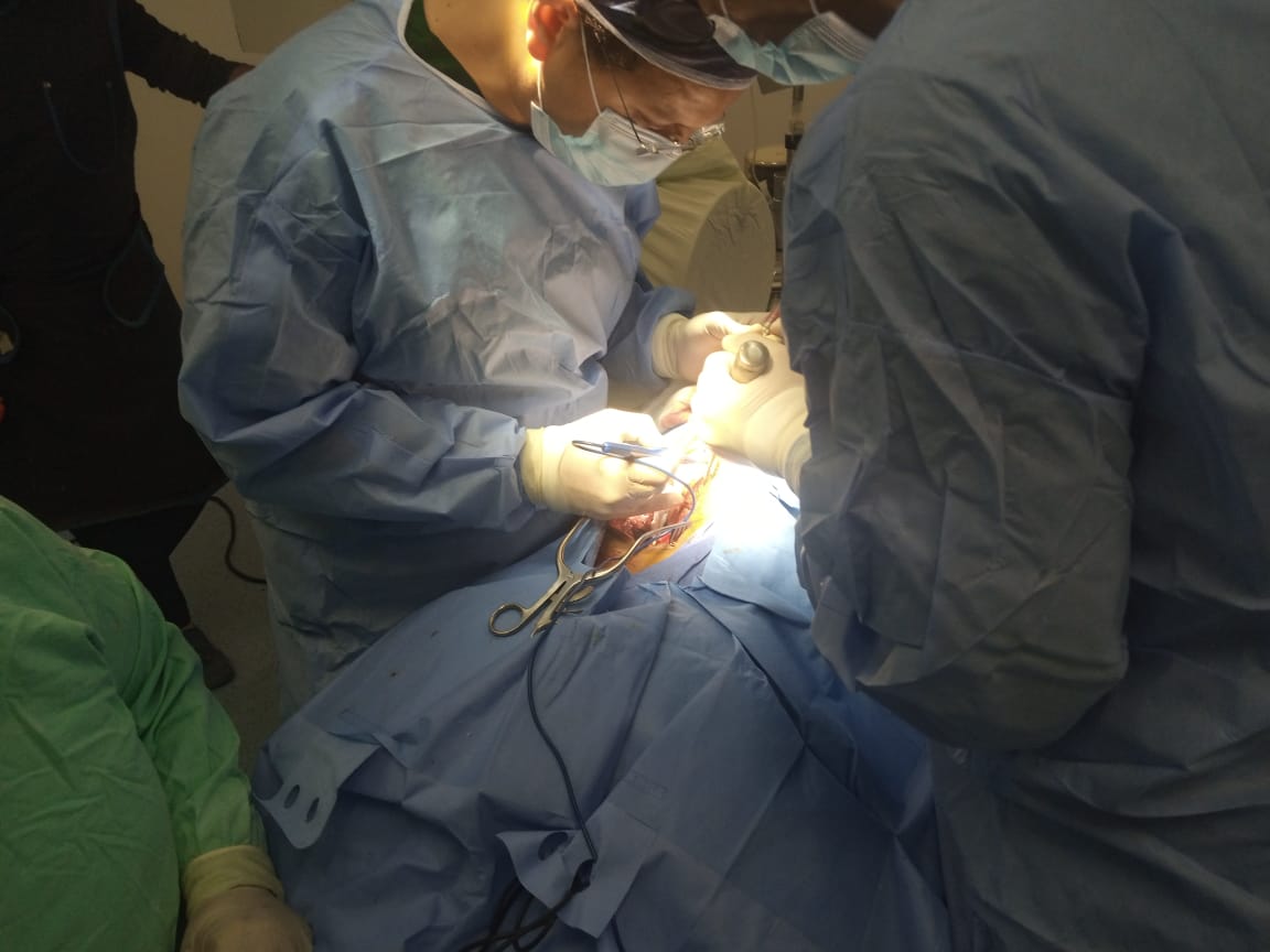 1517d0ec-9d46-45cd-af33-aa9fbe20b277