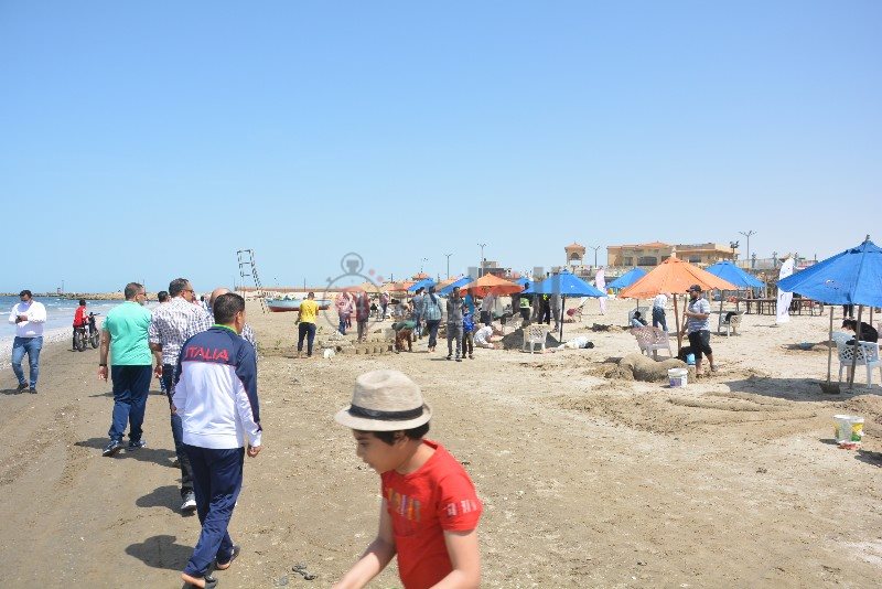 DSC_0335_copy_800x534_2