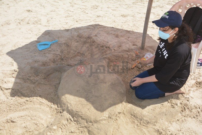 DSC_0339_copy_800x534_1