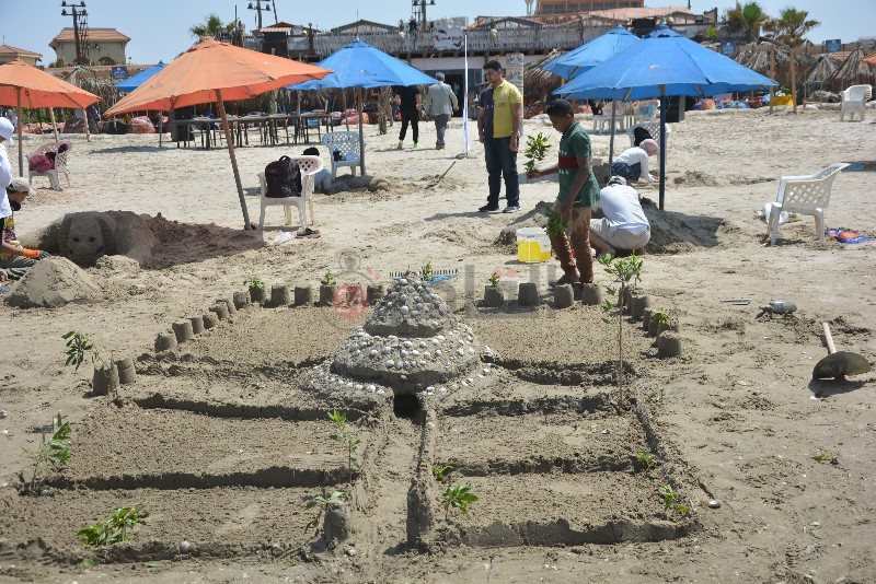 DSC_0349_copy_800x534_1