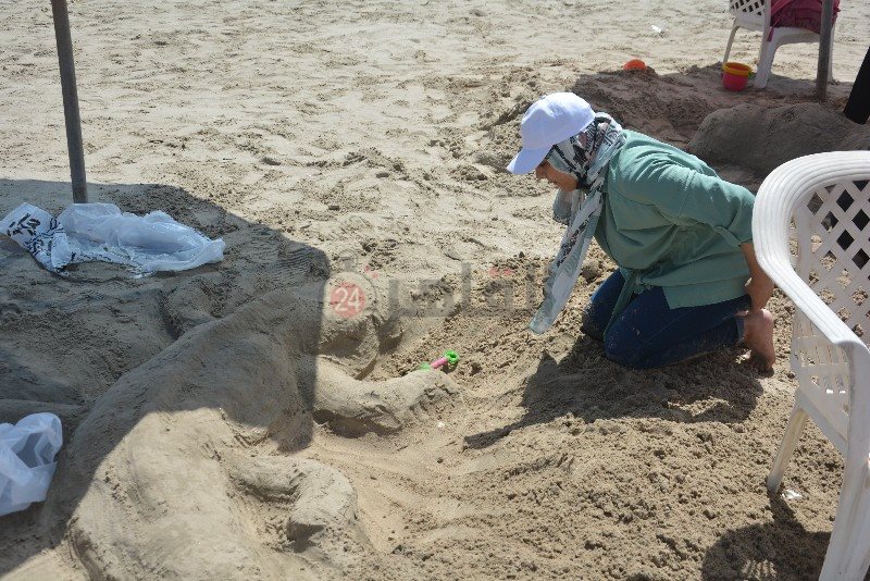 DSC_0347_copy_800x534_1