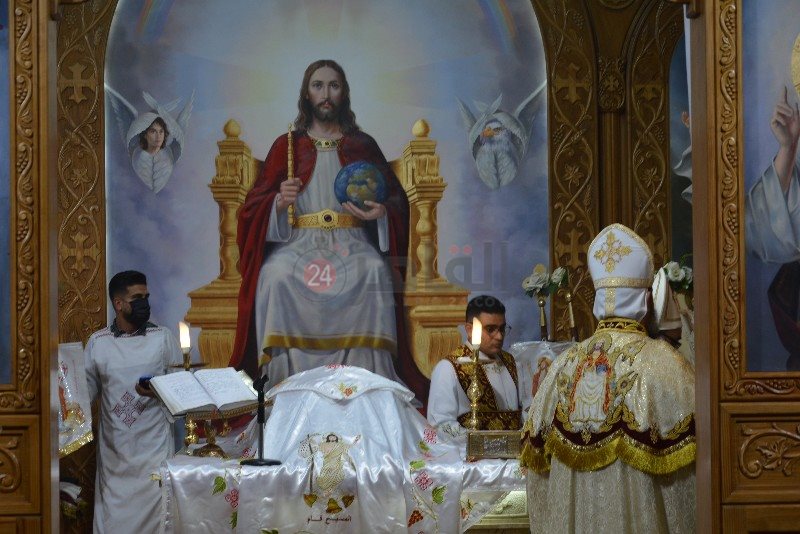 DSC_0387_copy_800x534_2